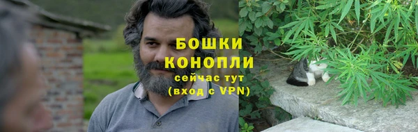 молекула духа Волоколамск