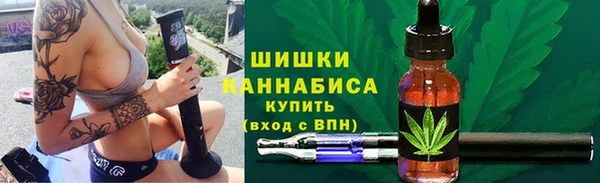 молекула духа Волоколамск
