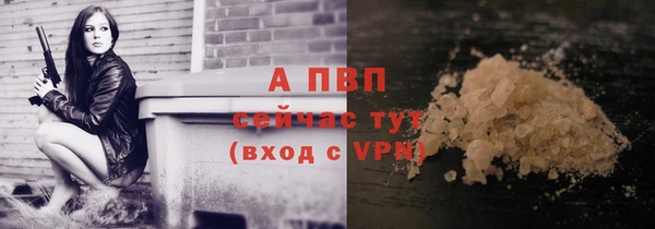 молекула духа Волоколамск