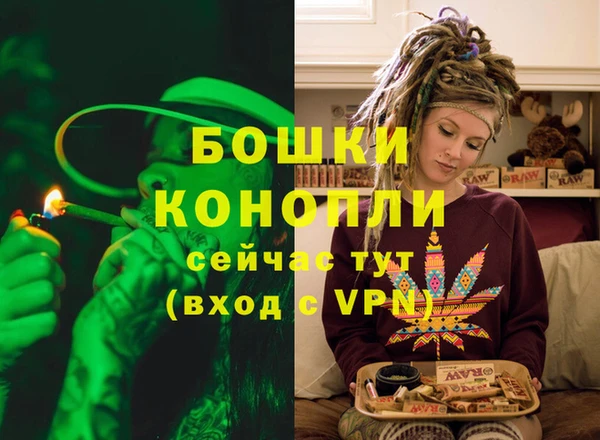 молекула духа Волоколамск