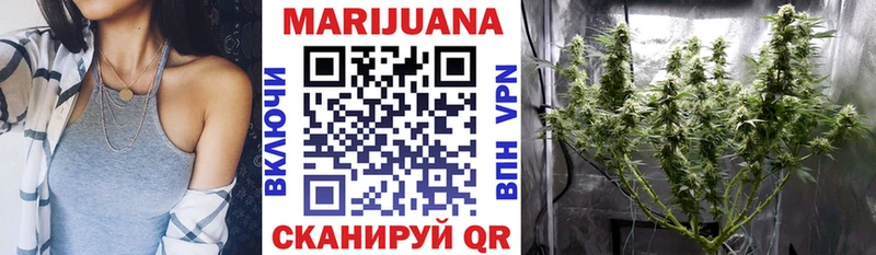 Канабис план  Купить  Бежецк 